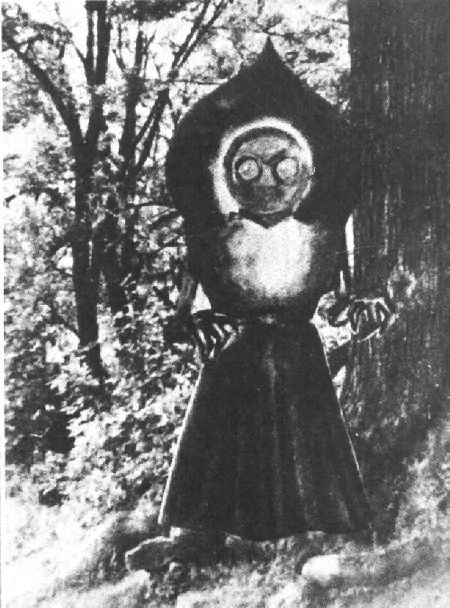 Image result for flatwoods monster